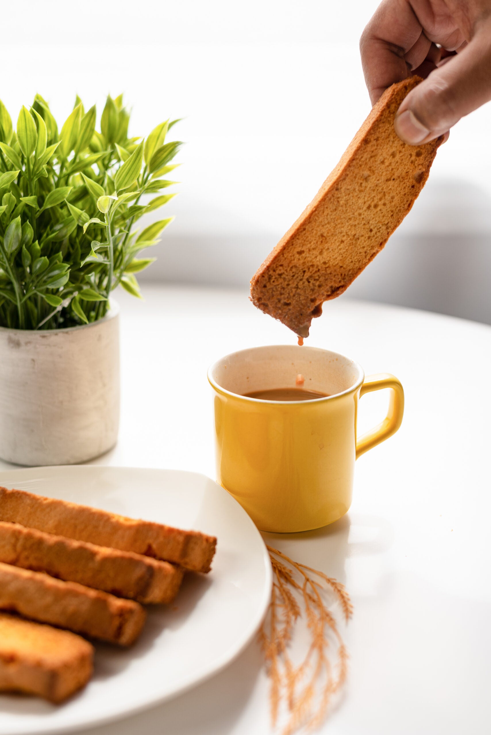 Crispy Egg Cake Rusk